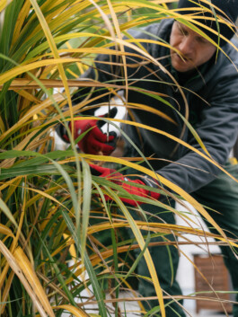 Konrad Garten- & Landschaftsbau
