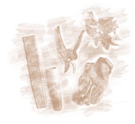 Konrad Garten- & Landschaftsbau